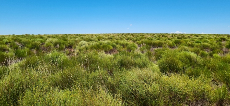 0 Bedroom Property for Sale in Nieuwoudtville Northern Cape